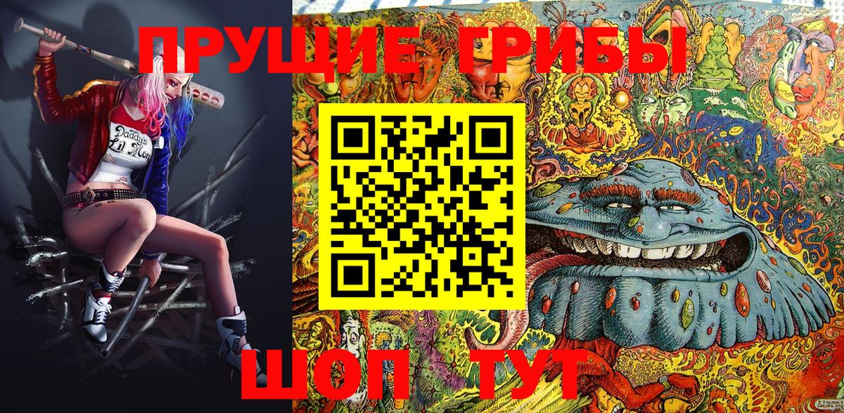 Серов  купить закладку  Псилоцибиновые грибы Magic Shrooms  Вход с VPN  Галлюциногенные грибы Psilocybe 